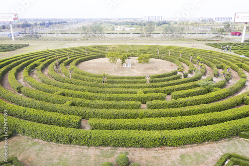 Aerial view of Green maze garden