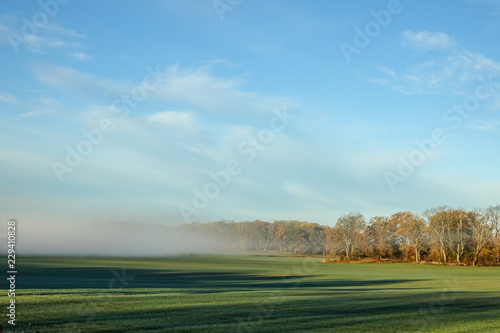 Fog on a farmers field. Yel...