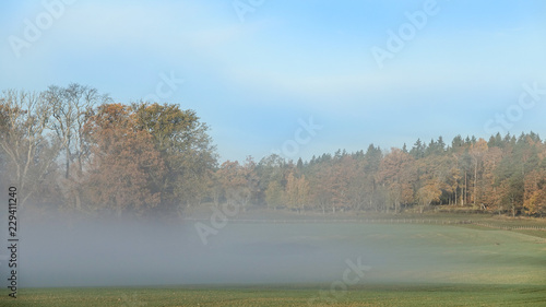 Fog on a farmers field. Yel...