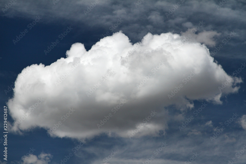 Obraz premium Big White Cloud