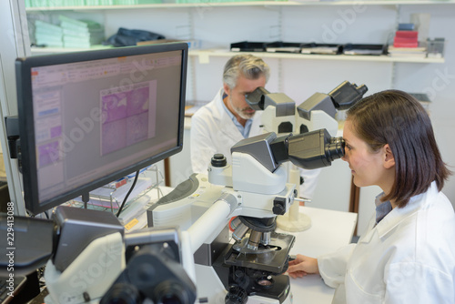Technicians in laboratory looking into microscopes