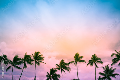 Fototapeta Naklejka Na Ścianę i Meble -  palm trees on the beach at sunset
