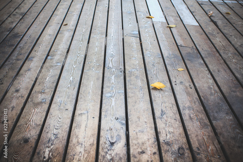 Wood flooring terrace with autumn leaf.