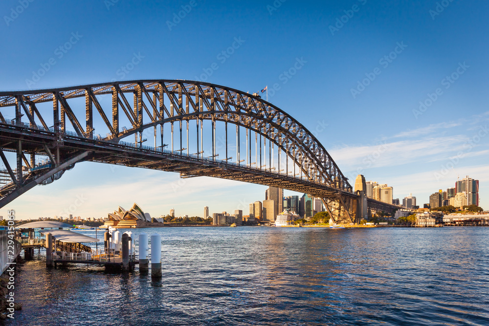 Panoramic view of Harbour Bridge, Opera House and business district, Sydney, Australia