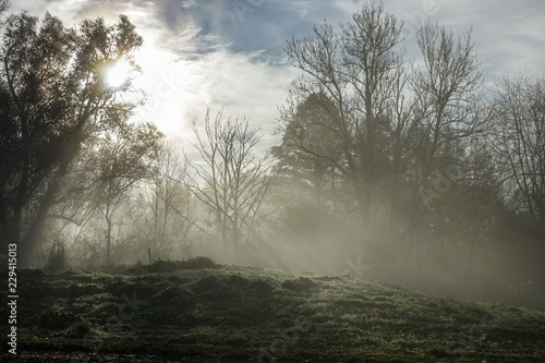 Sun shines through thick fo...