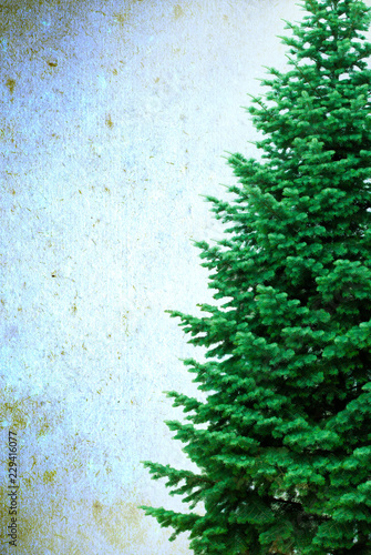Christmas Tree on grunge background