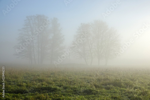 Beautiful, colorful landscape of a misty meadow during sunrise.