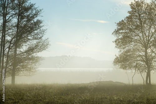 Foggy landscape, early morn...