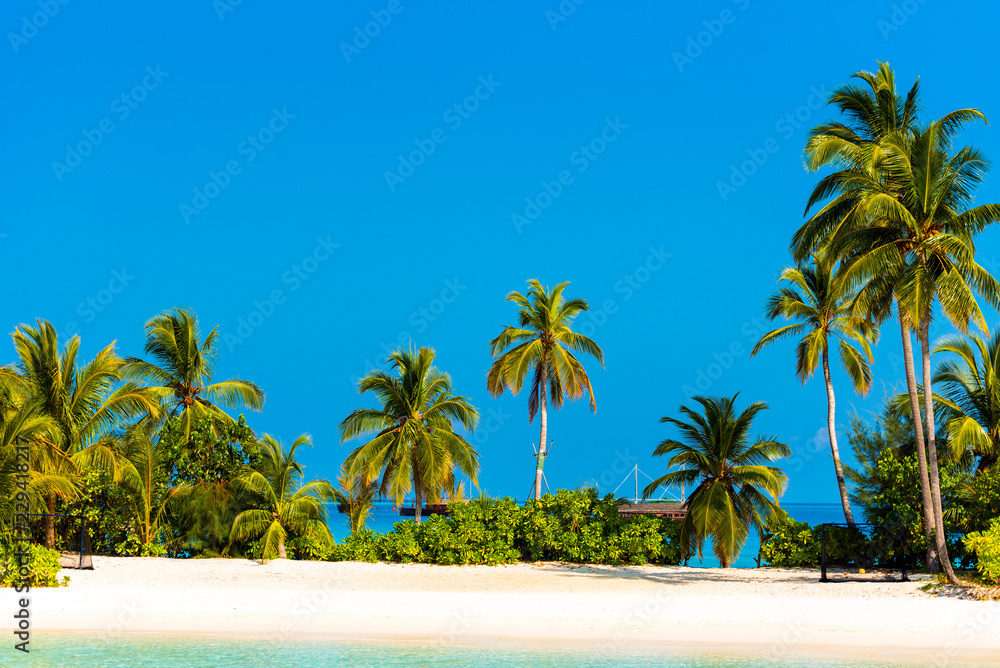 View of the paradise sandy beach, Maldives. Copy space for text.