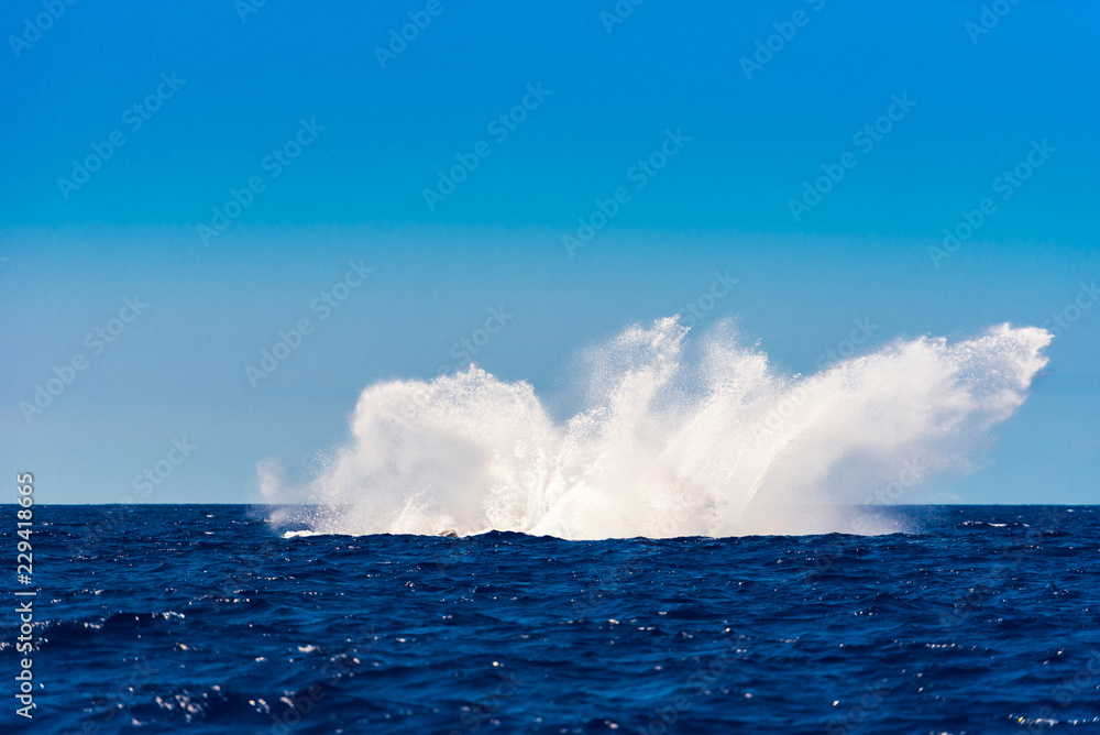 View of the spray, seascape, Hawaii, USA. Copy space for text.