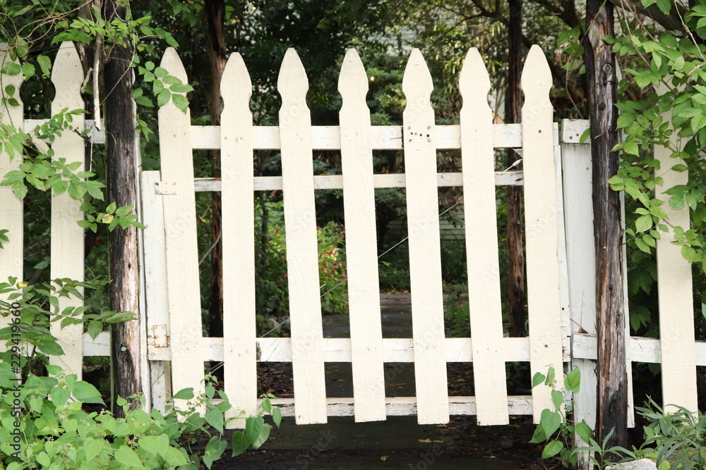 Fence Fence