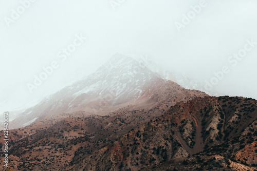 Snow covered mountains in the fog and trees