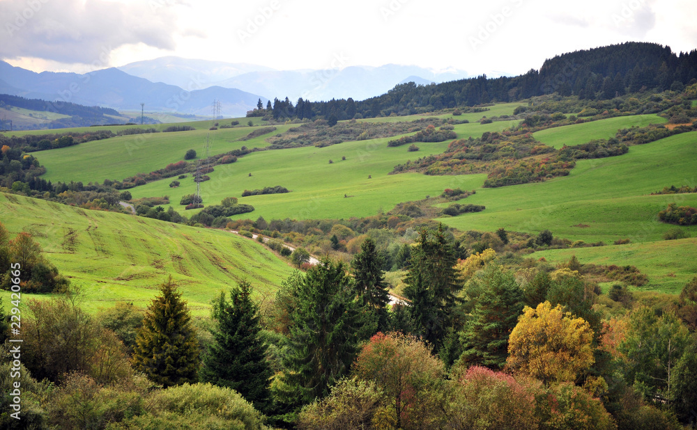 Beautiful green valley in Tatras national park