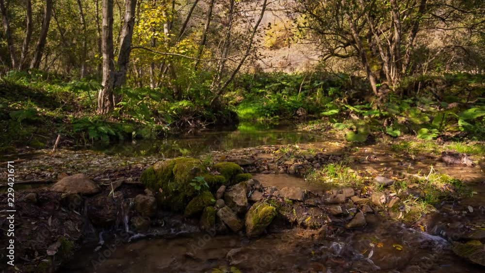 Russia, the Caucasus. The river in the mountains with clear water flows through the autumn forest with yellow leaves Russia, the Caucasus. The river in the mountains with clear water flows through the autumn forest with yellow leaves