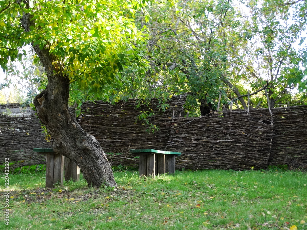 Obraz premium Shop under the tree
