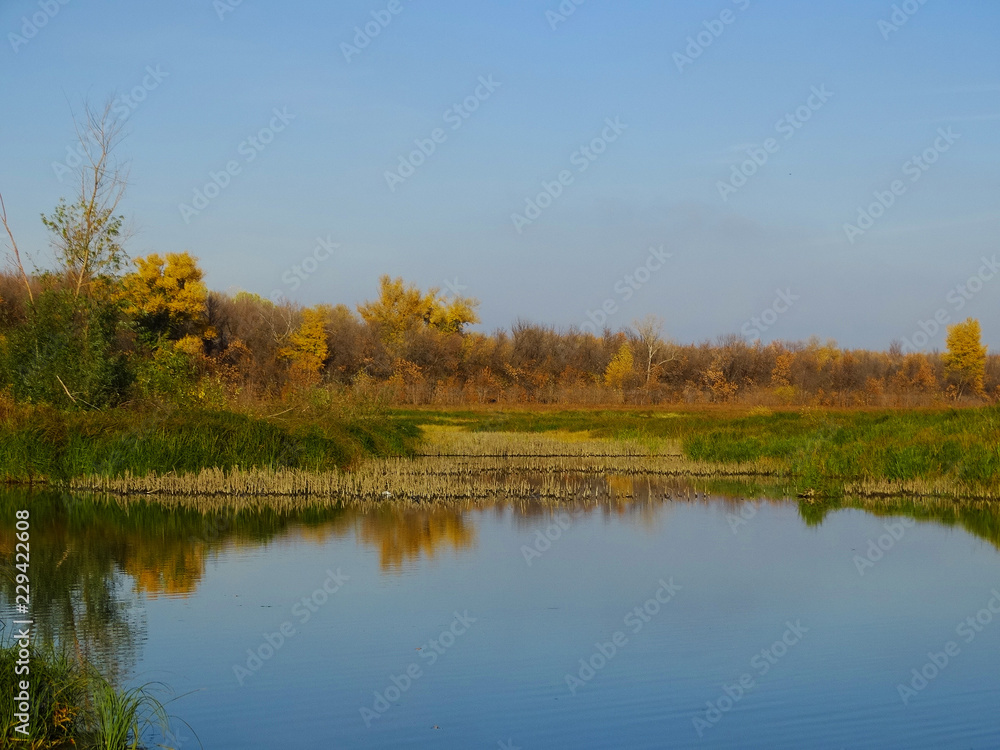 Autumn evening on the river