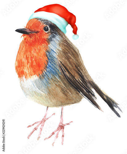 Merry Christmas hatted bird greeting decoration. Hand painted bird robin isolated on white illustration. Fun and joy decoration use for kids card, web, cover and prints..