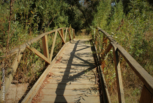 Madrona Marsh Preserve, Torrance, California