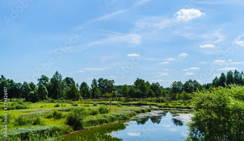 Swamp marshland water landscape. Green forest  and small river on a background of daylight with a blue sky and white clouds. Belarusian Polesie. Pripyat National Park