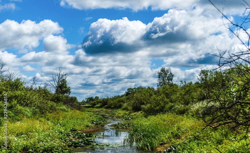 Dried river with dirt and forest silhouette. Belarusian Polesie. Swamp against green vegetation and blue sky with white clouds. Pripyat National Park Dried river with dirt and forest silhouette. Belarusian Polesie. Swamp against green vegetation and blue sky with white clouds. Pripyat National Park
