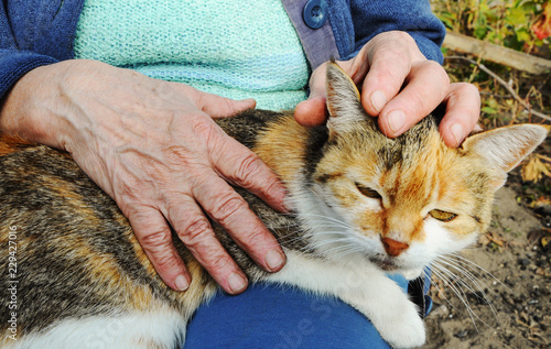 old woman, sitting on the street, stroking a cat.