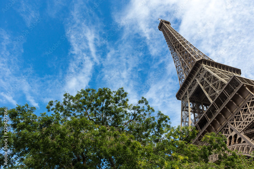 View of the Eiffel Tower in the city of Paris in sunny day with trees in the foreground. View of the Eiffel Tower in the city of Paris in sunny day with trees in the foreground.