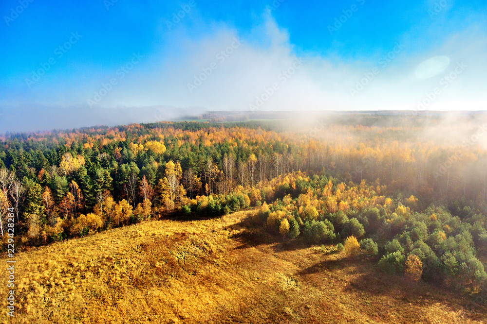 autumn forest with fog and clouds