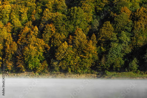 Sunrise over the foggy lake and pine forest in the background. Vibrant autumn colors in trees at dawn.