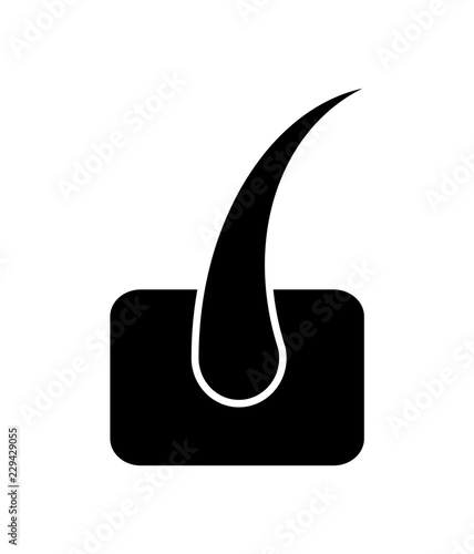 hair follicle. vector illustration