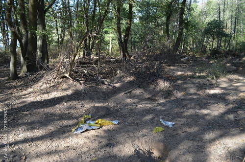 Kampf um den Hambacher Forst photo