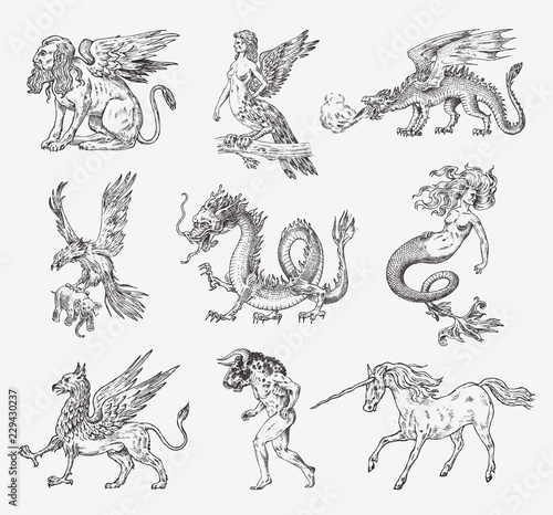 Set of Mythological animals. Mermaid Minotaur Unicorn Chinese dragon Cerberus Harpy Sphinx Griffin Mythical Basilisk Roc Woman Bird. Greek creatures. Engraved hand drawn antique old vintage sketch.