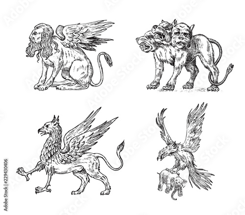 Set of Mythological animals. Cerberus Sphinx Griffin Mythical Basilisk Birds. Greek creatures. Engraved hand drawn antique old vintage sketch.