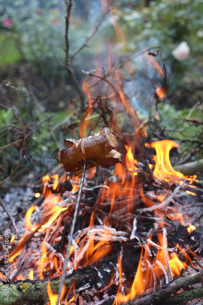Grilled sausages above the campfire in summer Grilled sausages above the campfire in summer