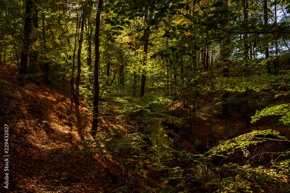 Ein Paradies für Wanderer: das wildromantische Ein Paradies für Wanderer: das wildromantische