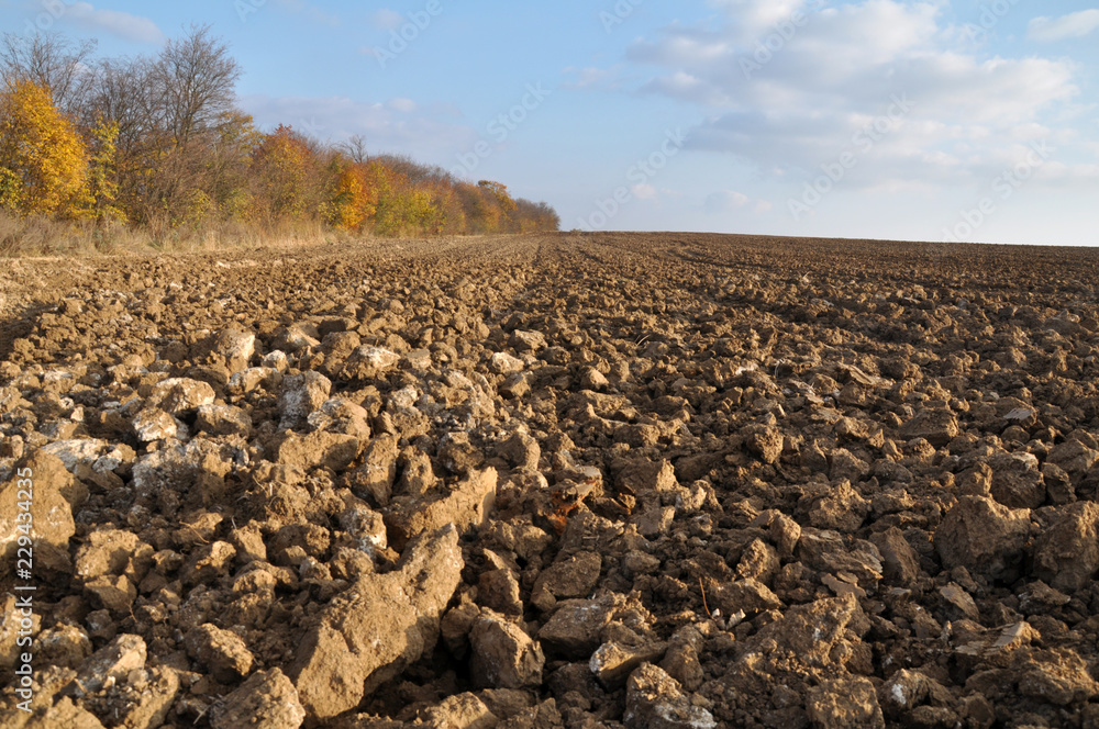 Fototapeta premium Autumn plowing field