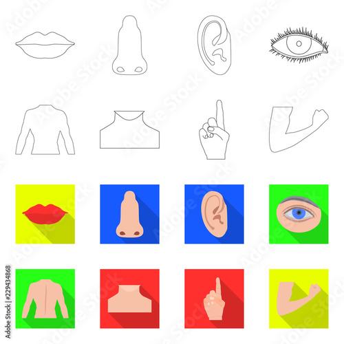 Isolated object of human and part sign. Set of human and woman vector icon for stock.