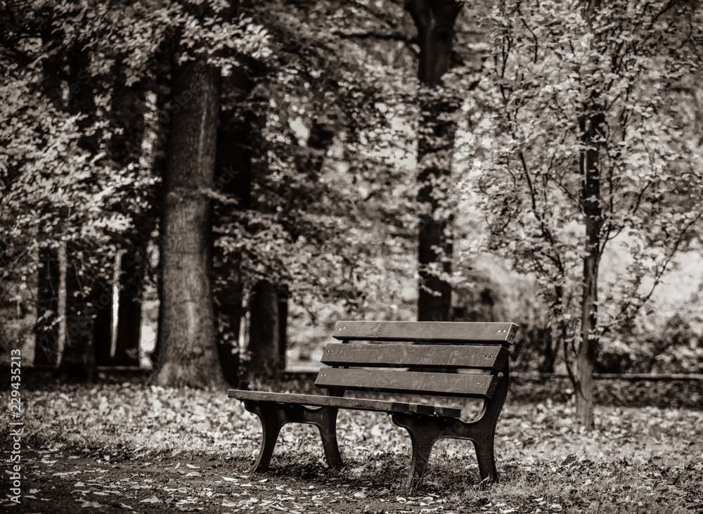 Old bench in the park of Wroclaw, Poland Old bench in the park of Wroclaw, Poland