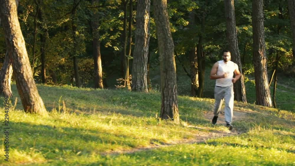 Fit and tall sportsman going jogging among tall trees in urban forest, outdoor shot on lovely fall evening Fit and tall sportsman going jogging among tall trees in urban forest, outdoor shot on lovely fall evening