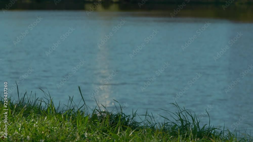 Green Grass Near The River On A Sunny Autumn Day Green Grass Near The River On A Sunny Autumn Day