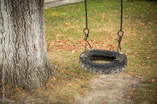 Tire swing hanging on a tree in a field