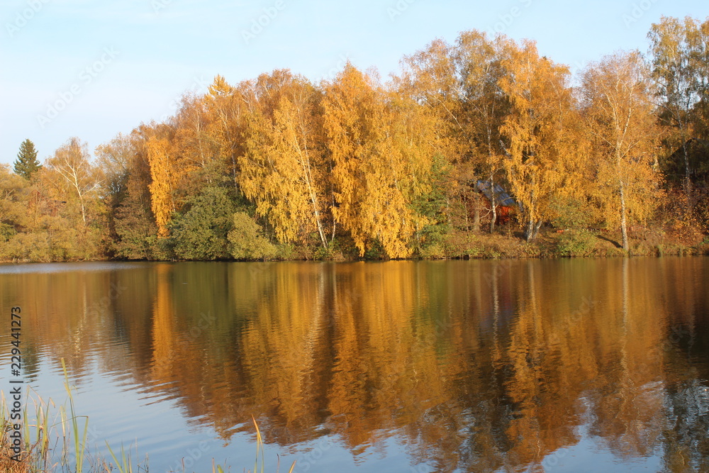 autumn landscape with lake and trees