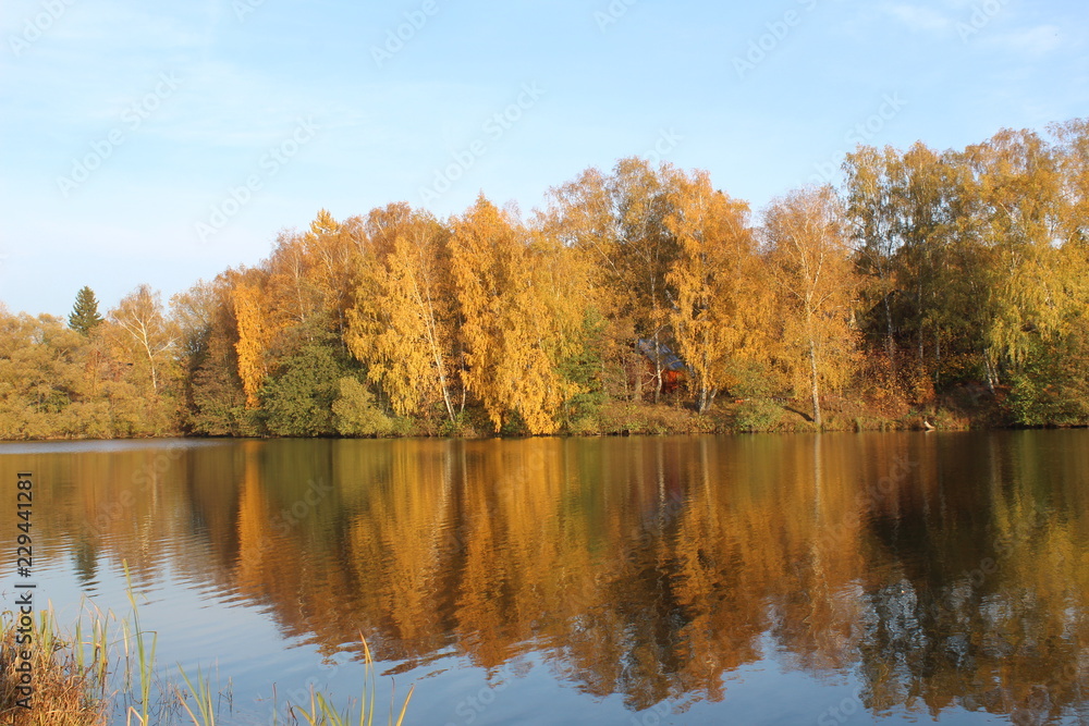 Fototapeta premium autumn landscape with lake and trees