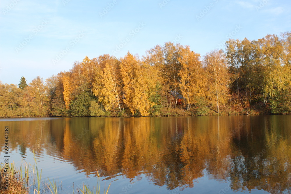 autumn landscape with lake and trees