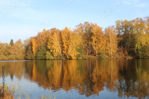 autumn landscape with lake and trees © Elena Bondareva