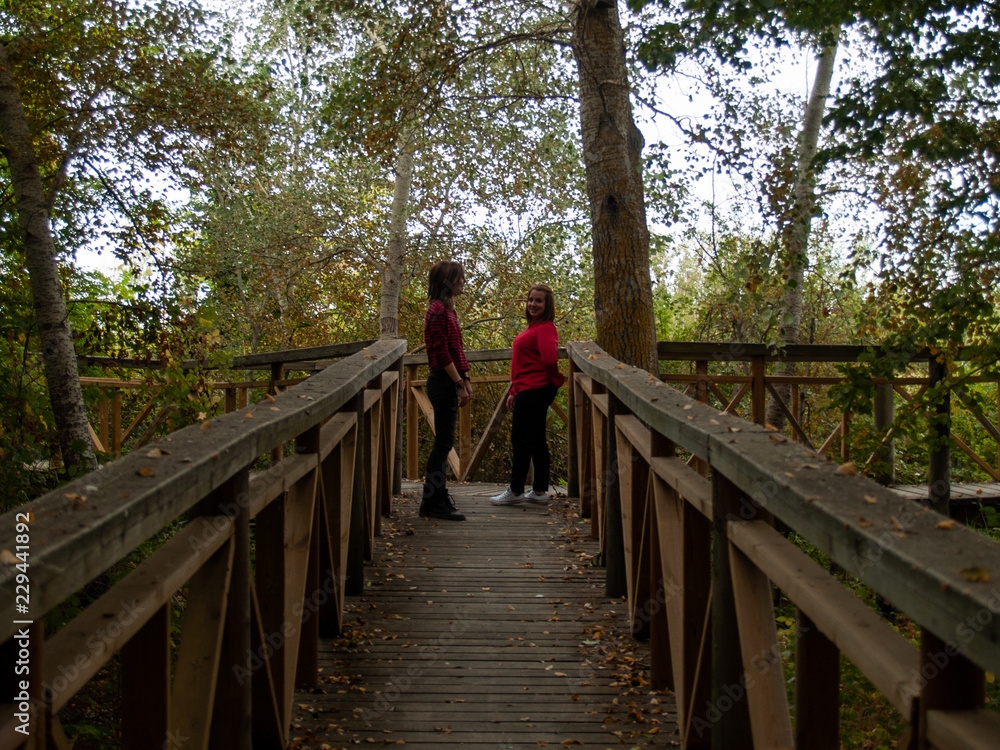 Two women walking on a wooden path in a forest in autumn