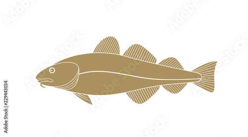 Atlantic cod logo.  Isolated cod on white background
