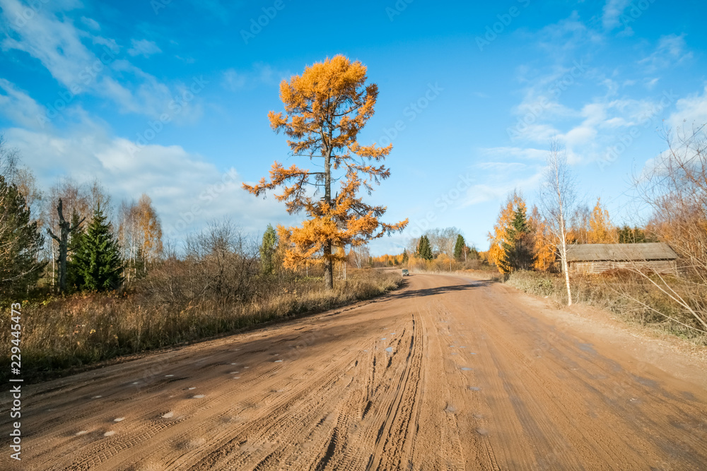 Naklejka premium autumn road