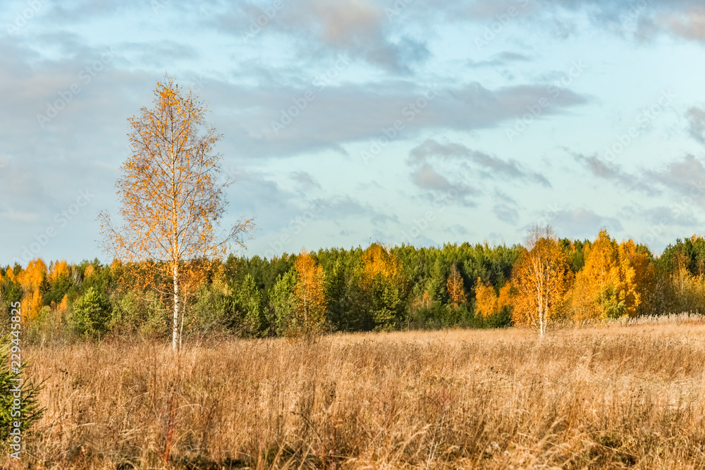Fototapeta premium Russian North. Autumn
