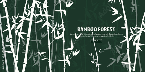 Fototapeta Naklejka Na Ścianę i Meble -  Bamboo forest set. Nature. Japan., China. Plant. Green tree with leaves. Rainforest in Asia.