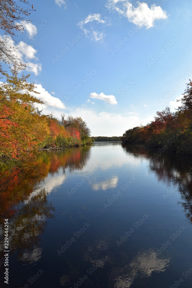 Fototapeta premium reflection of trees on lake in autumn
